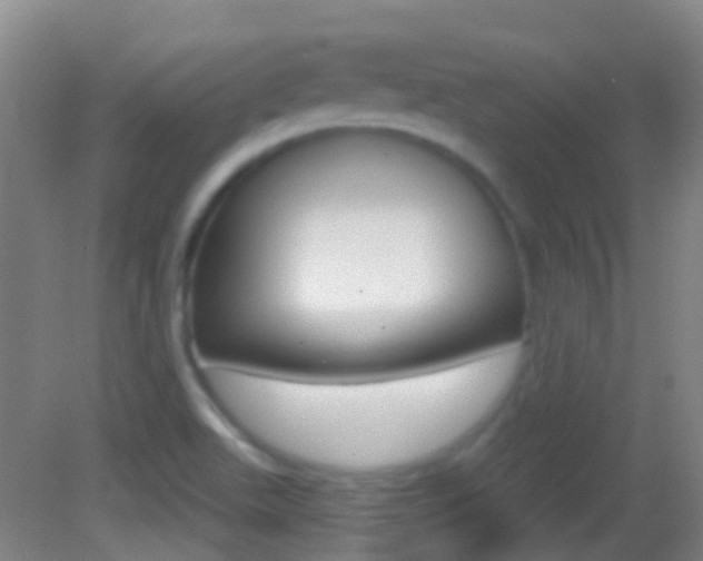 X0000083051511200702020957