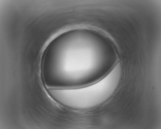 X0000083051512200702020957