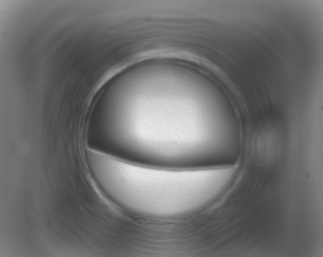 X0000083051513200702020957
