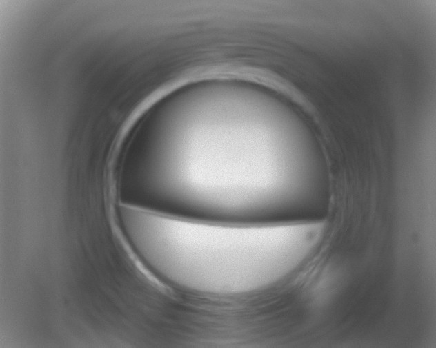 X0000083051517200702020957
