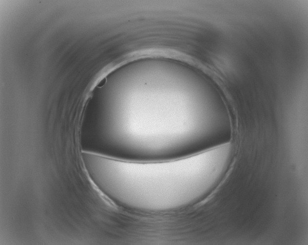X0000083051529200702020957