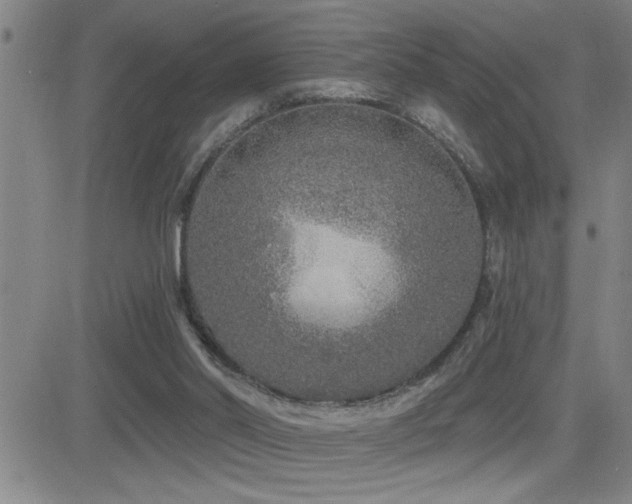 X0000083050014200702021230