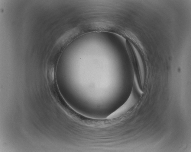X0000083050021200702021229