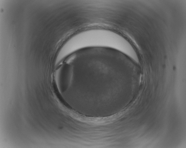 X0000083050023200702021229