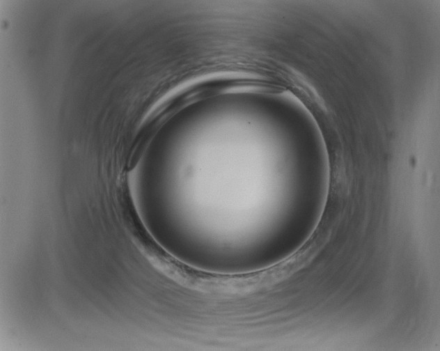 X0000083050025200702021229