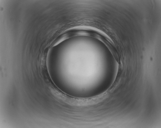 X0000083050037200702021229