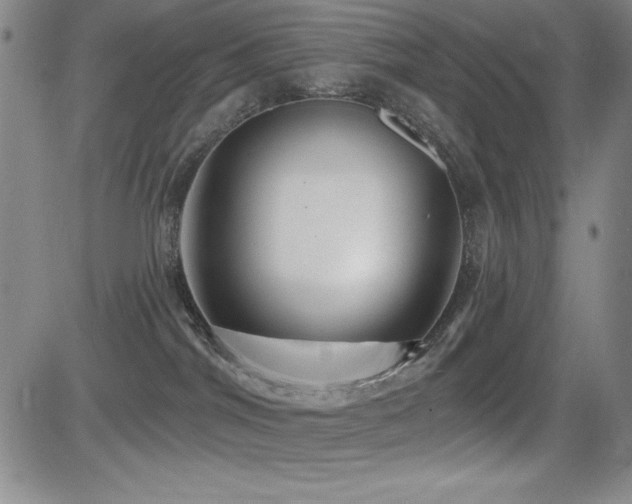 X0000083050044200702021229