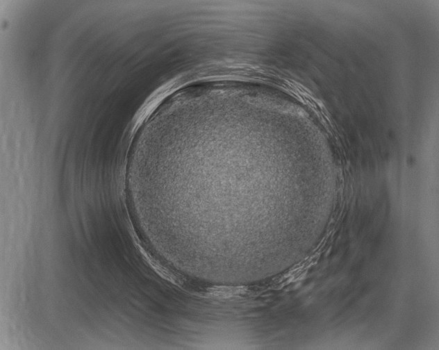 X0000083050051200702021228