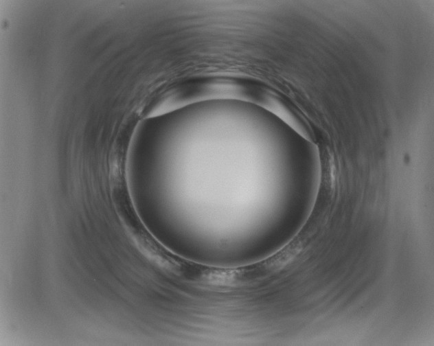 X0000083050084200702021229