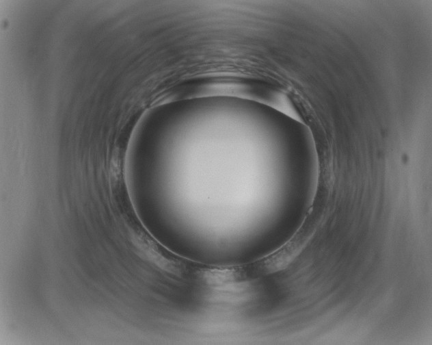 X0000083050085200702021229