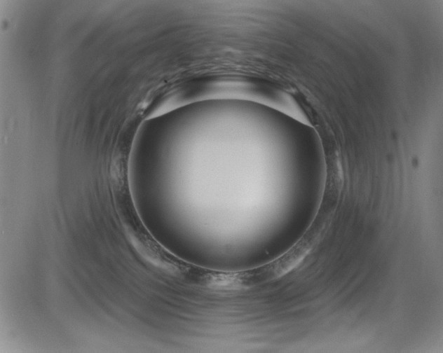 X0000083050088200702021229