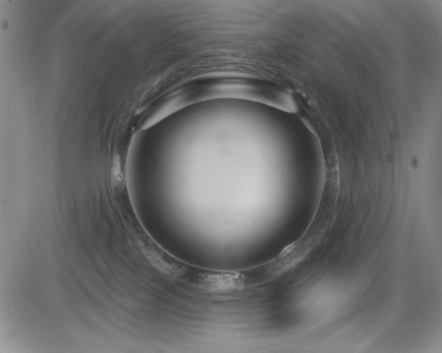 X0000083050089200702021229