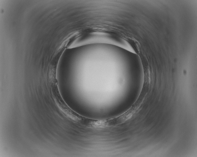 X0000083050092200702021229
