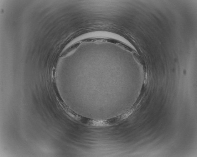 X0000083050093200702021229