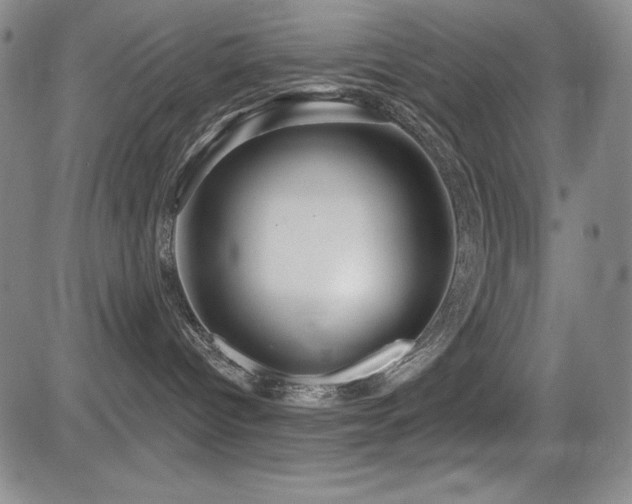 X0000083050096200702021229