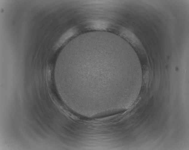 X0000083050120200702021228