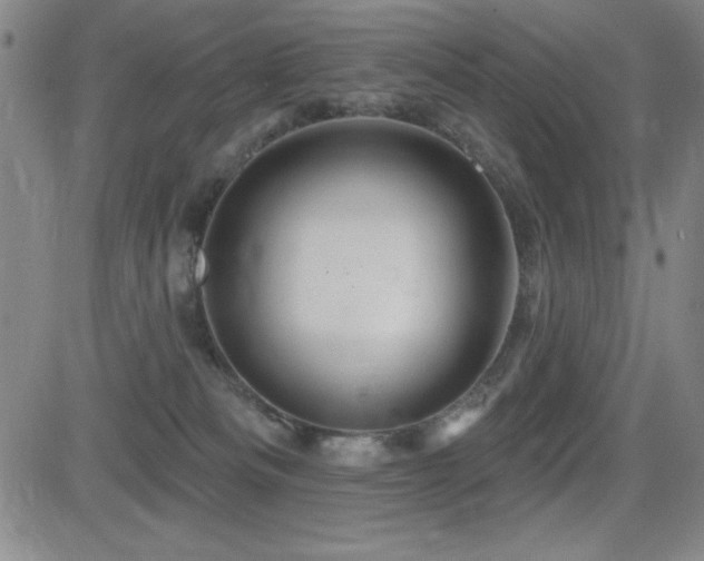 X0000083050133200702021228