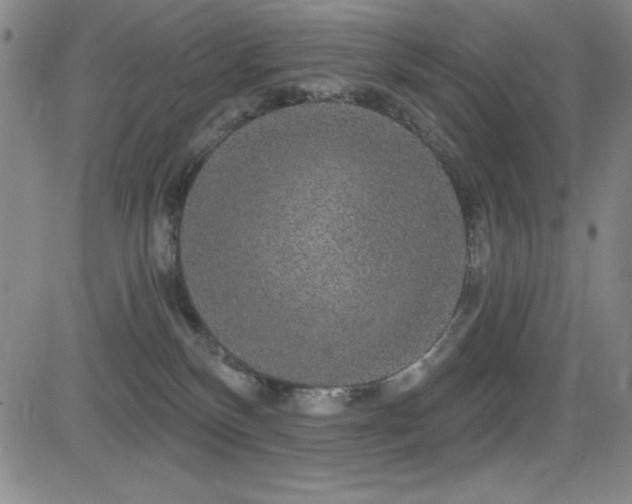 X0000083050136200702021228