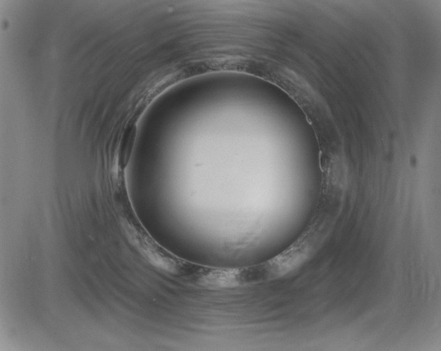 X0000083050138200702021228