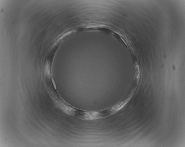 X0000083050143200702021227