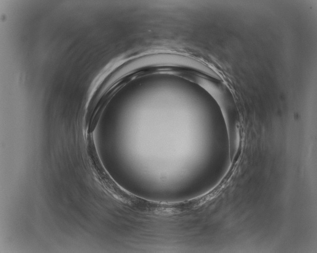 X0000083050152200702021227