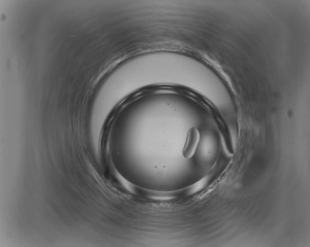 X0000083050154200702021227
