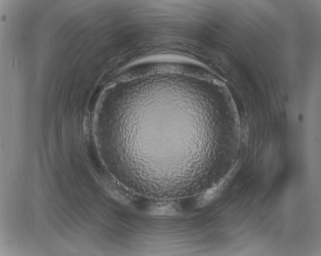 X0000083050175200702021227
