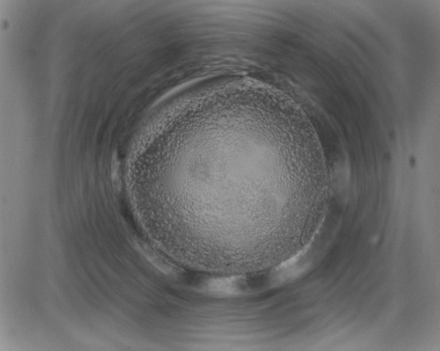 X0000083050178200702021227