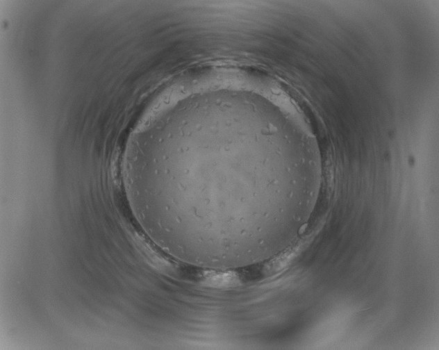 X0000083050185200702021227