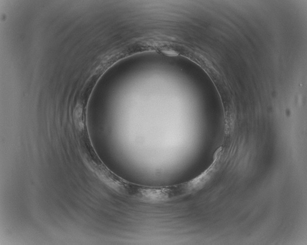 X0000083050187200702021227