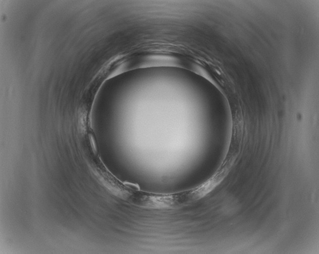 X0000083050188200702021227