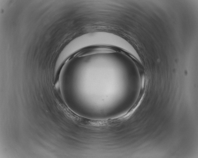 X0000083050190200702021227