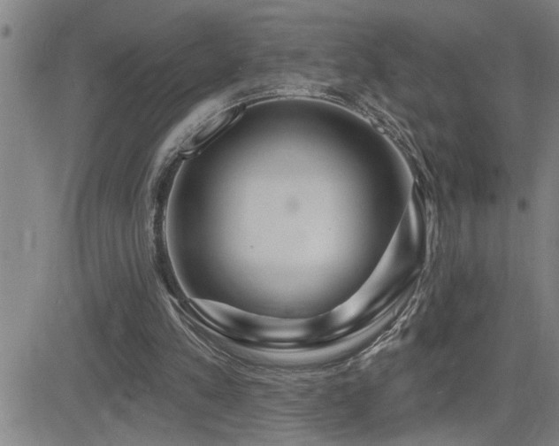 X0000083050197200702021227