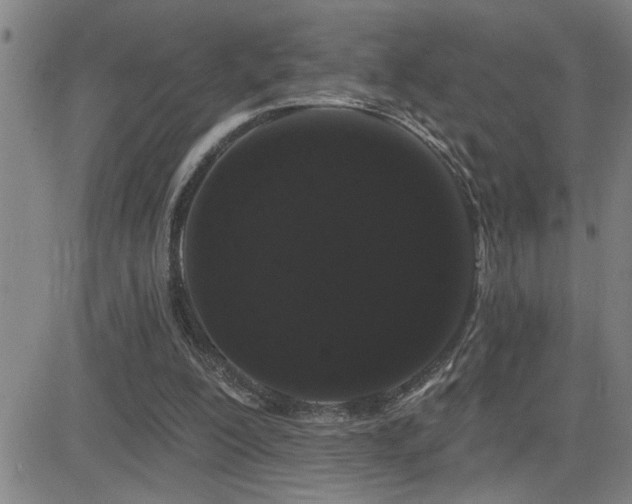 X0000083050200200702021227