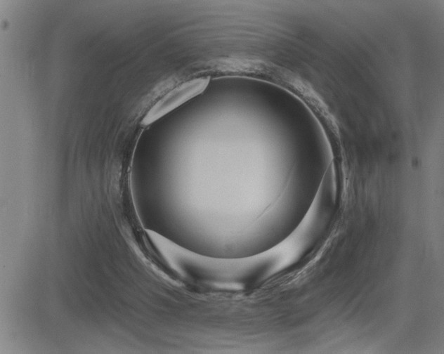 X0000083050201200702021226