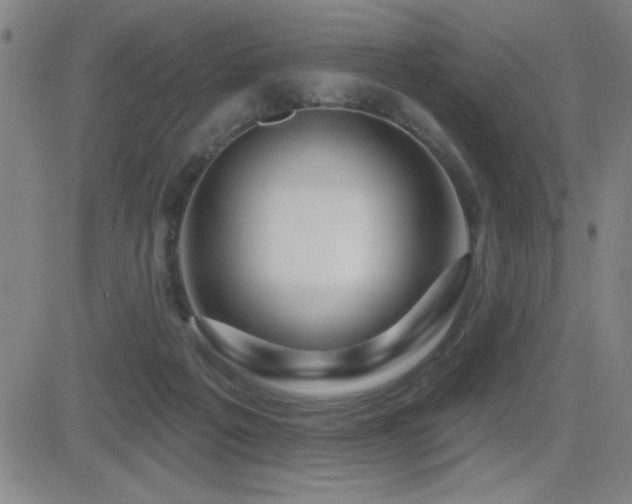 X0000083050217200702021226
