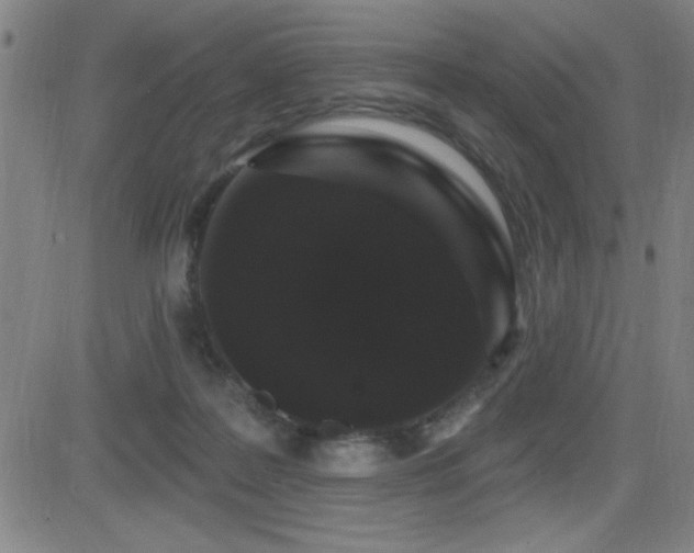 X0000083050219200702021226