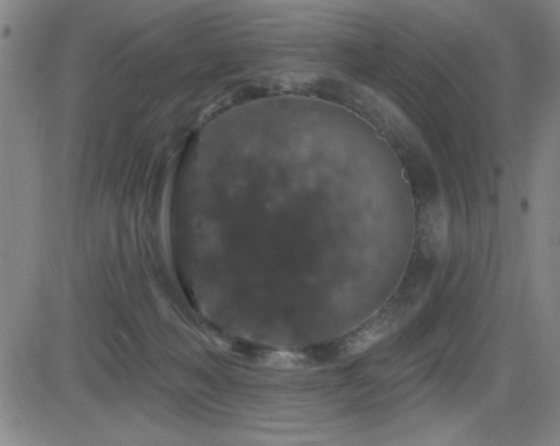 X0000083050222200702021226