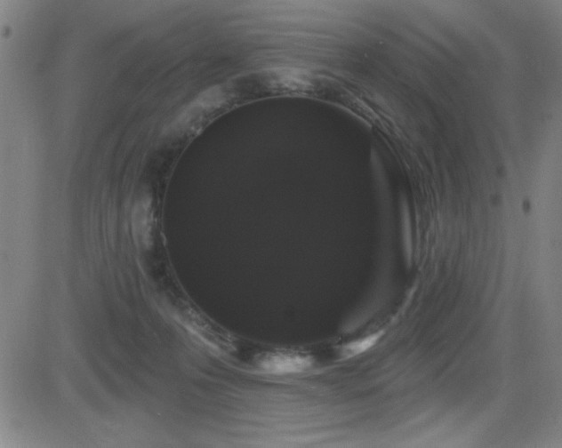 X0000083050223200702021226