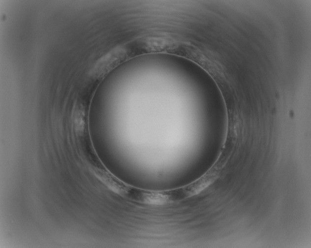 X0000083050226200702021226