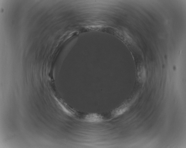 X0000083050231200702021226