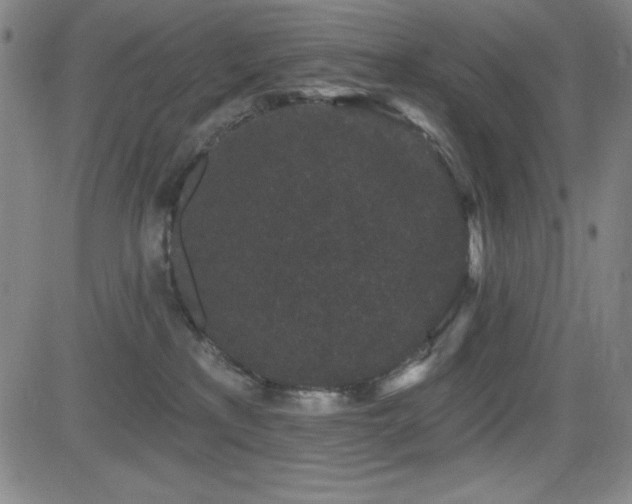 X0000083050233200702021226