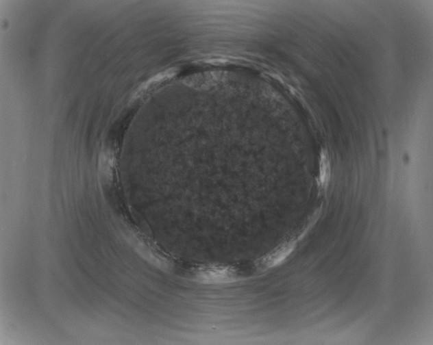 X0000083050235200702021226