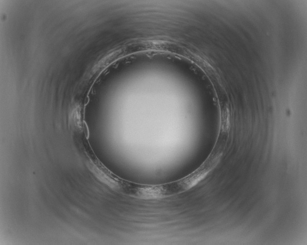 X0000083050238200702021226