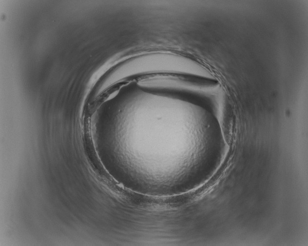 X0000083050246200702021225