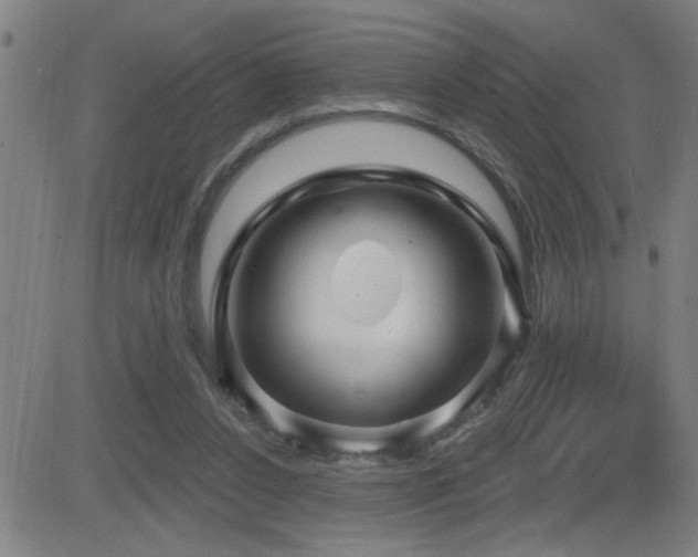 X0000083050256200702021225