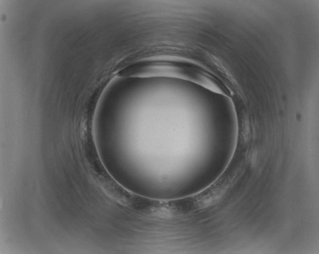 X0000083050259200702021225