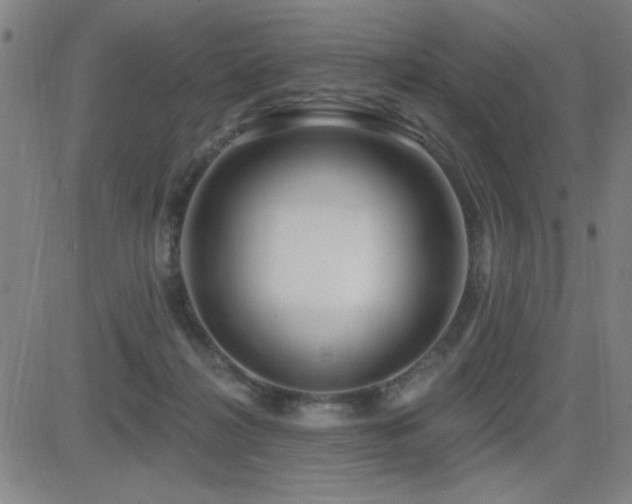 X0000083050268200702021226