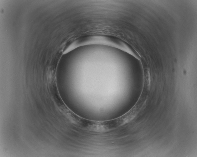 X0000083050276200702021226