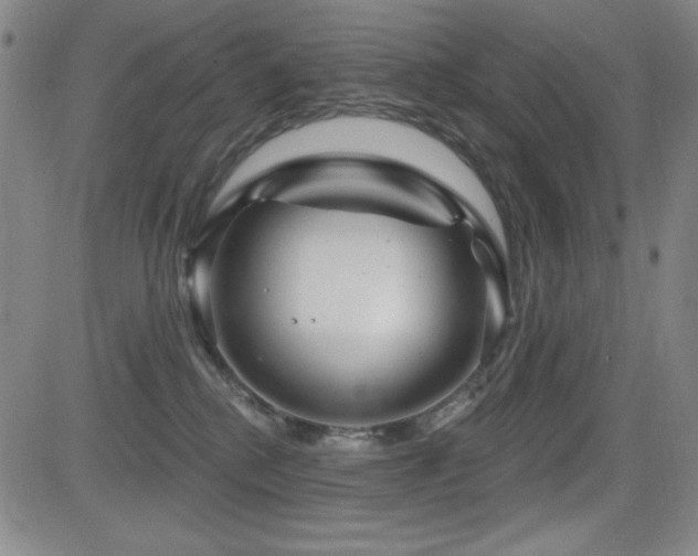 X0000083050280200702021226